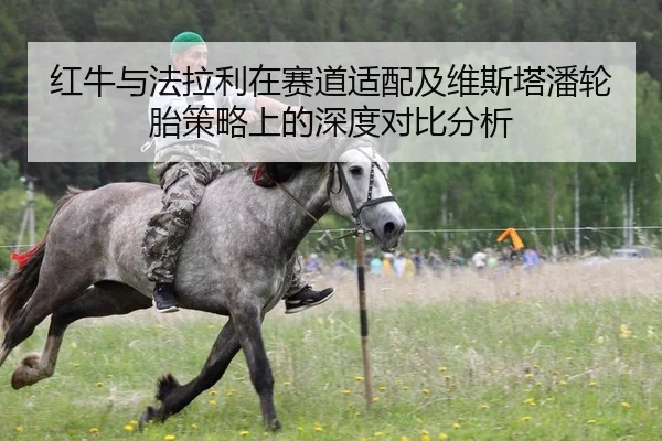 红牛与法拉利在赛道适配及维斯塔潘轮胎策略上的深度对比分析